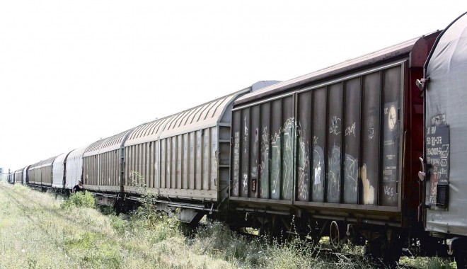 Împușcat de un agent de pază ce însoțea un tren încărcat cu fier vechi - tren-1371984154.jpg