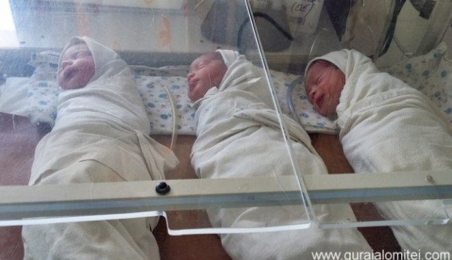 IMAGINEA ZILEI. Tripleți născuți pe cale naturală - tripleti125193800-1500470714.jpg