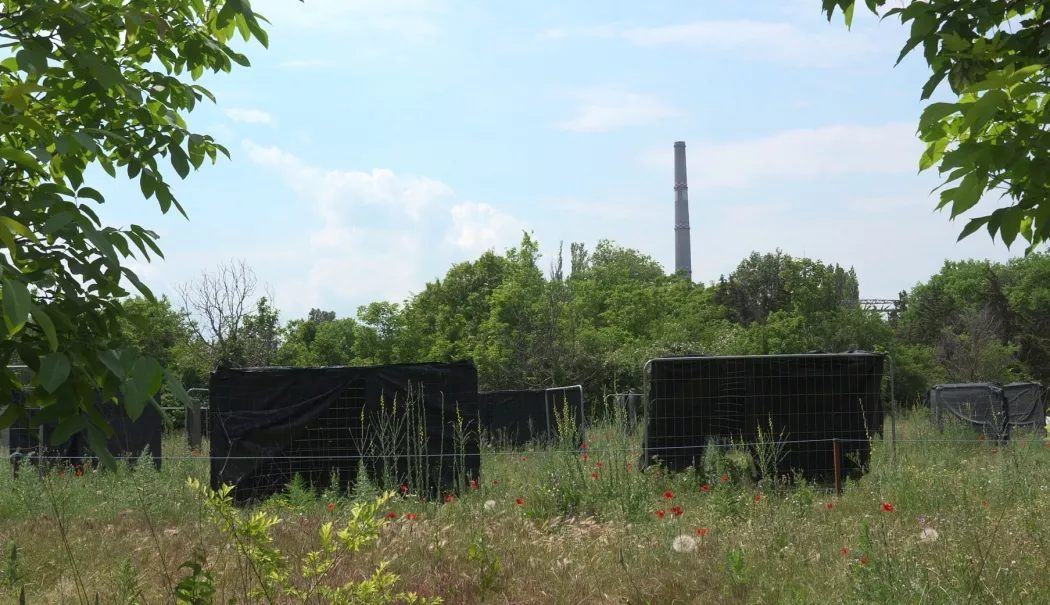 Baza Triunghi: Sportul, pierdut în „Triunghiul Bermudelor” din Constanța