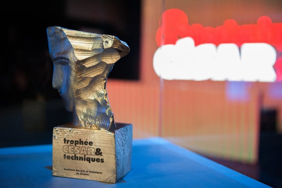 Premiile CESAR 2014: Cel mai bun film, cei mai buni actori - trofeu-1393669751.jpg