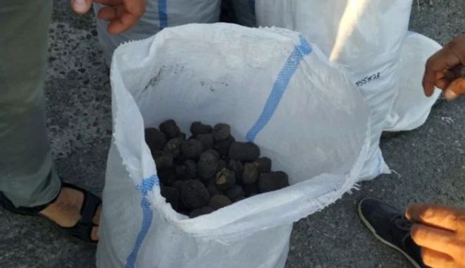 Trafic de „diamante negre” cu autoutilitara. Peste 830 de kilograme de trufe, descoperite la un control