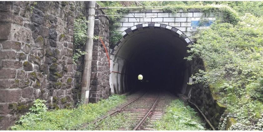 Beat și proaspăt eliberat din închisoare, un român a blocat trenurile de mare viteză în Germania - tunel-tren-1773841986.webp