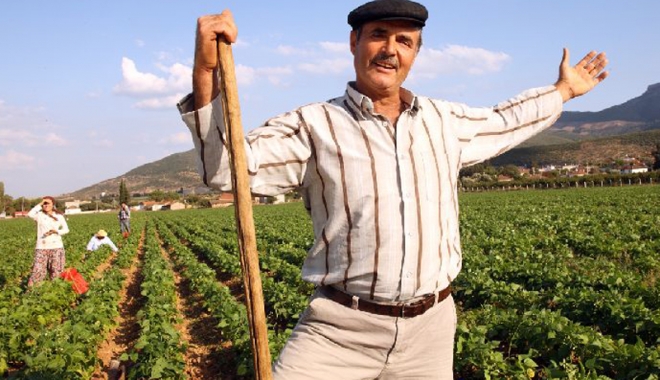 Turcii vor  să investească în agricultura românească - turciivorsainvesteasca-1462551529.jpg