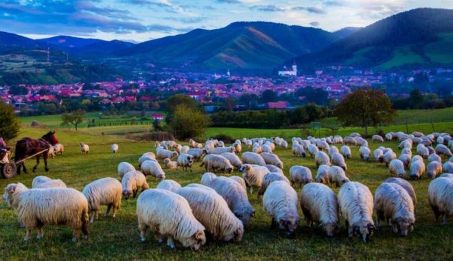 Ministrul Turismului anunță un nou program de promovare turistică a României