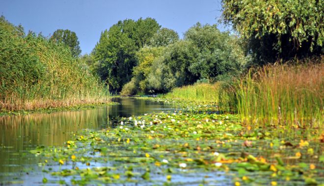 De ce ați alege să vă petreceți concediul în Delta Dunării - turismdeltadunarii1-1518361018.jpg