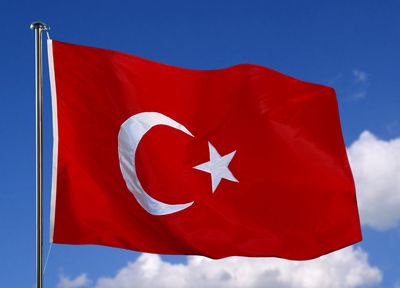 Pregătiri pentru celebrarea Zilei Turciei - turkey-1319730209.jpg