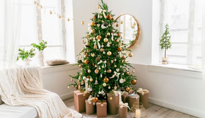 TRUCURI UTILE! Ce trebuie să faci pentru ca bradul de Crăciun să reziste mai mult - typesofchristmastrees1666310586-1671952425.jpg
