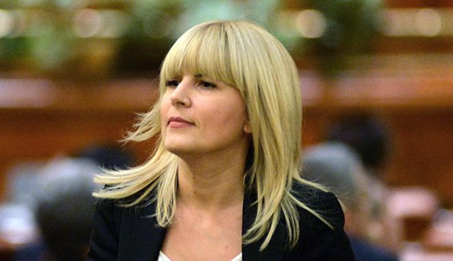 Elena Udrea, adusă cu duba la instanță. magistrații au amânat rejudecarea în dosarul Gala Bute