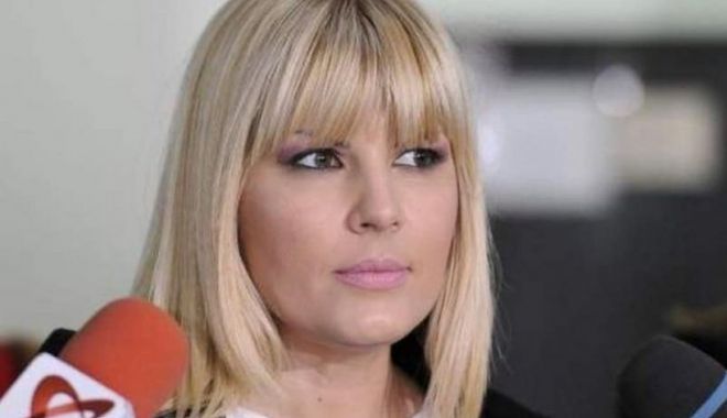 Elena Udrea, mesaj din închisoare: Deținuții ar munci, dar nu au unde