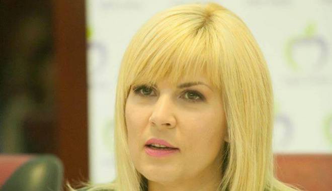 Elena Udrea, așteptată la Comisia Juridică - udrea78-1424259553.jpg