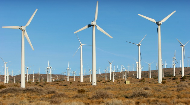 UE va investi peste un trilion de euro în economia verde - uevainvestipesteuntriliondeeuroi-1579509803.jpg