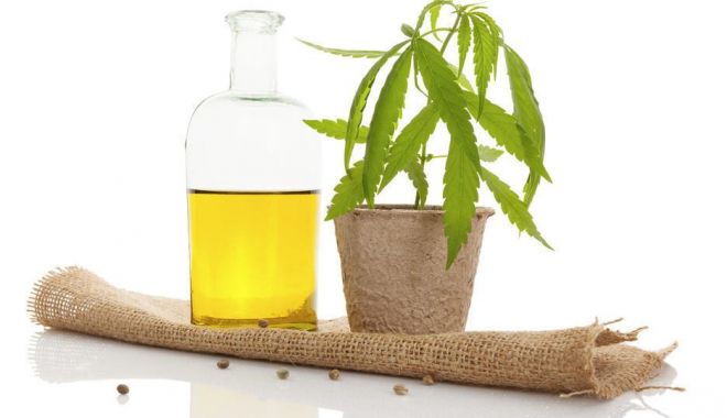 Vrei sa folosesti ulei CBD? Citeste acest articol! - uleicbd832-1539849605.jpg