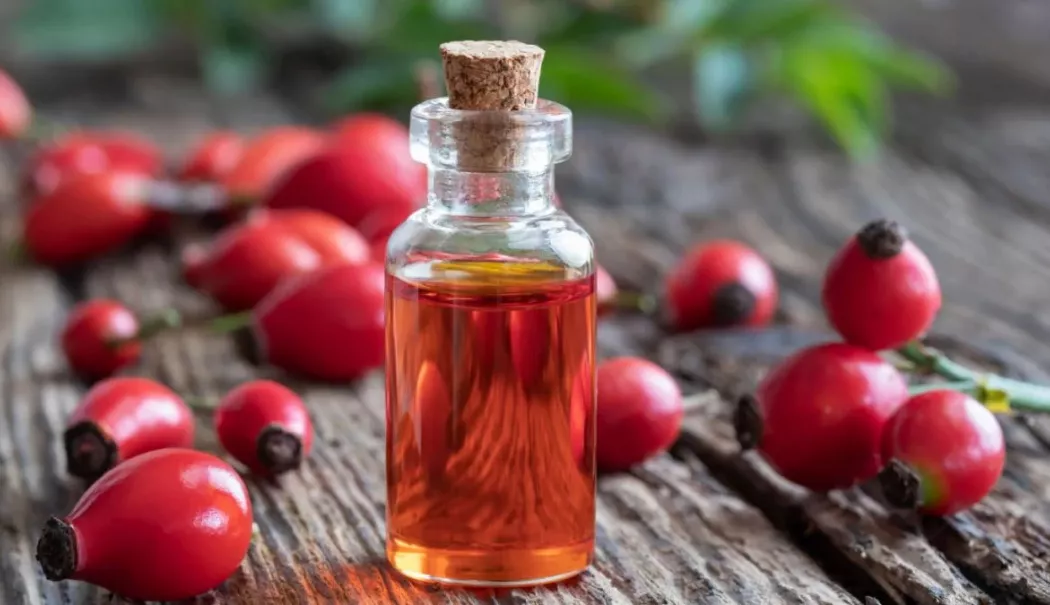 Uleiul de măceșe, remediul natural pentru o piele sănătoasă - uleiul-de-macese-1773662473.webp