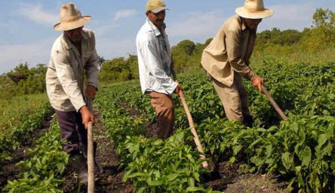 Ultimul termen de plată a impozitului pe venitul agricol - ultimultermen-1449767534.jpg
