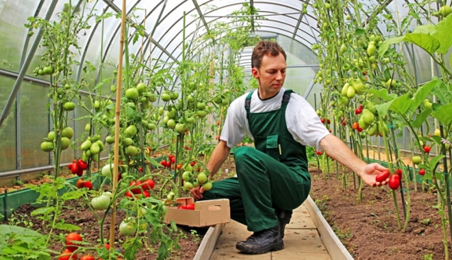 Un deceniu de finanțare europeană pentru agricultura românească - undeceniu-1481642429.jpg