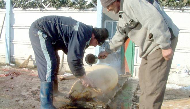 Unde puteți să verificați carnea de porc, de sărbători - undeputetisaverificati-1418314811.jpg
