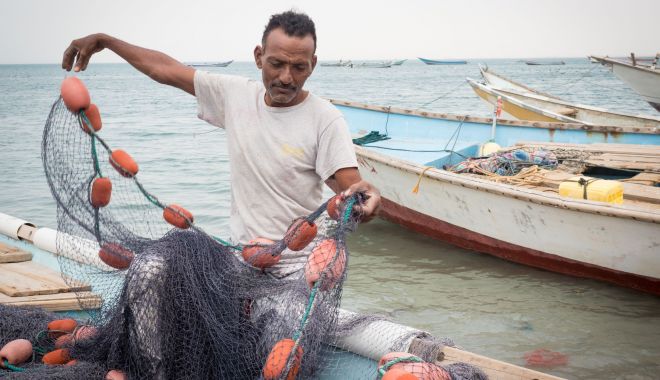 BBC - Un grup de pescari din Yemen a descoperit ambră gri în stomacul unui caşalot - ungrupdepescari-1622565730.jpg