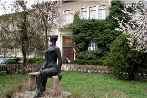 Universitatea 