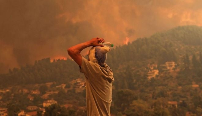 Ajutoare de urgenţă de până la 150.000 de euro pentru grecii care şi-au pierdut locuinţele în incendii - unmaslinvechide2500deanidistrusd-1628666888.jpg