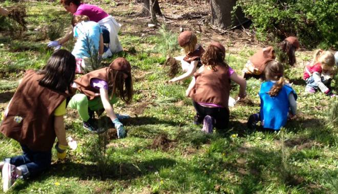 Un milion de copaci, plantați într-o singură zi - unmiliondepuietiplantati-1447442131.jpg
