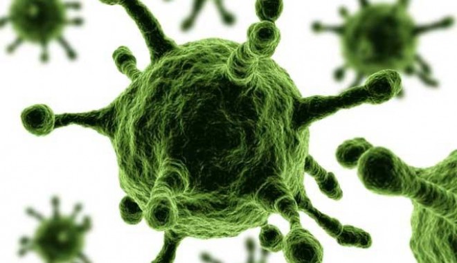 Un virus care a omorât milioane de oameni, redescoperit după 300 de ani - unnouvirusdepistatinfermeledineu-1354370559.jpg