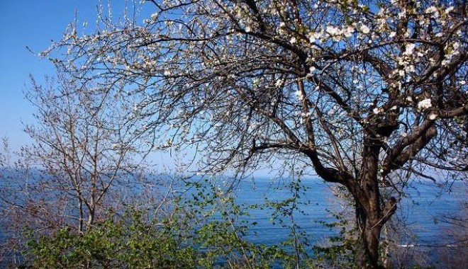 Cum va fi vremea săptămâna viitoare, la Constanța - untitled-1335117241.jpg