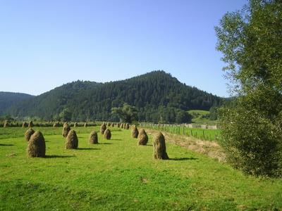 Sute de milioane de euro disponibile pentru investiții în mediul rural - untitled-1346670292.jpg