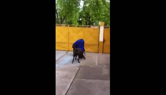 VIDEO. Râzi cu lacrimi! DOREL ȘI-A LUAT ROLE - untitled-1431850421.jpg