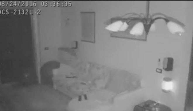 VIDEO. Cutremurul din Italia, surprins de o cameră de luat vederi - untitled-1472212500.jpg
