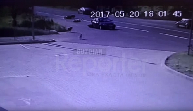 VIDEO. TRAGEDIE RUTIERĂ! MOTOCICLIST UCIS DE O ȘOFERIȚĂ, DIN CONSTANȚA, CARE A ÎNTORS FĂRĂ SĂ SE ASIGURE - untitled-1495350822.jpg