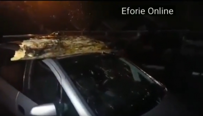 VIDEO. VIJELIA A FĂCUT RAVAGII, LA CONSTANȚA / COPAC CĂZUT PESTE MAȘINĂ, ÎN EFORIE NORD - untitled-1507449883.jpg