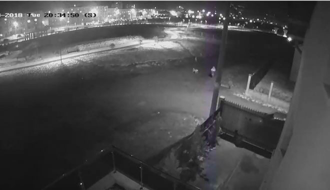 VIDEO. Băiat de 10 ani, atacat de o haită de câini, la Mangalia! 