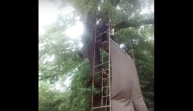 VIDEO. MOMENTUL ÎN CARE UN COPIL A CĂZUT DE LA 8 METRI, DUPĂ CE S-A RUPT TIROLIANA - untitled-1526297731.jpg