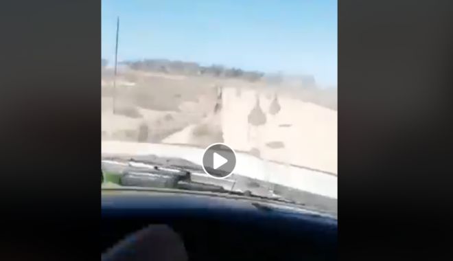 IMAGINI REVOLTĂTOARE! Un șofer s-a filmat în timp ce UCIDE PĂSĂRI și se amuză de fapta sa - untitled-1537443857.jpg