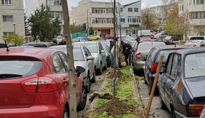 Sute de arbori, plantați la Constanța! - untitled-1576152506.jpg