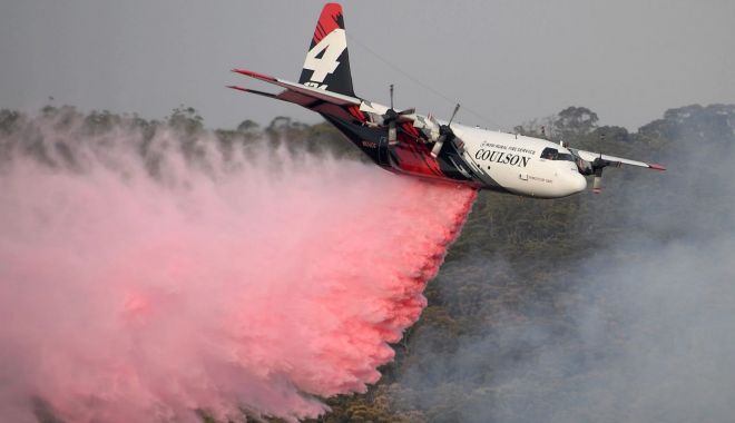 Avion PRĂBUȘIT în această dimineață! Trei morți; cauzele tragediei - încă necunoscute - untitled-1579770894.jpg
