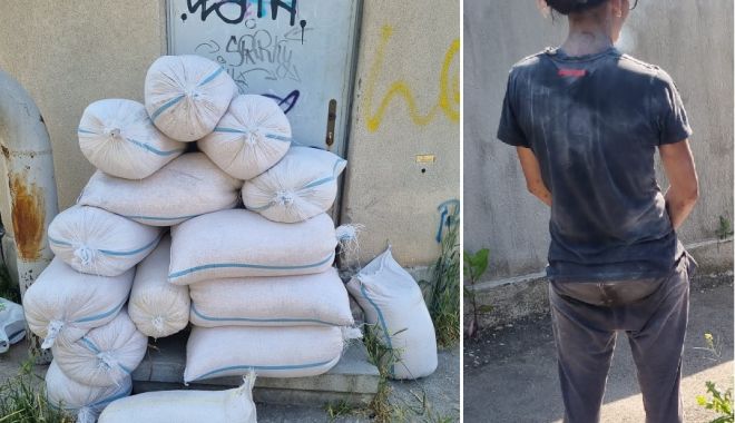 Femeie din Constanţa, prinsă în flagrant în timp ce fura peste 900 kg de porumb - untitled-1654073674.jpg