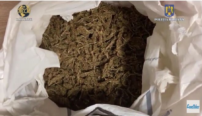 Video. PRINS ÎN FLAGRANT DELICT CU DROGURI DE RISC, la Constanța