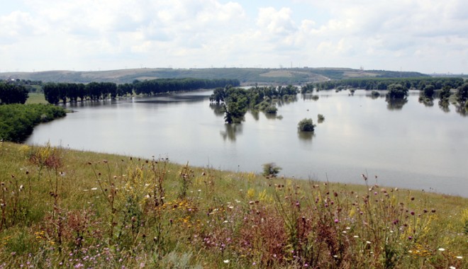Urgia de pe Dunăre a ajuns în județul Constanța - urgiadepedunare4-1400868802.jpg