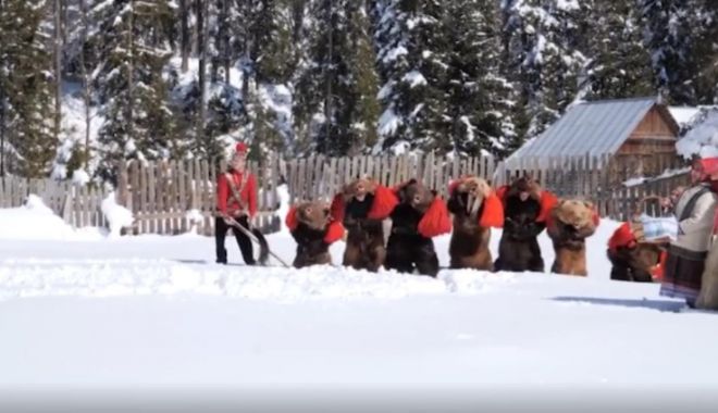 VIDEO: Spectacole tradiționale. Cetele de urși colindă satele și orașele - urs-1640435970.jpg