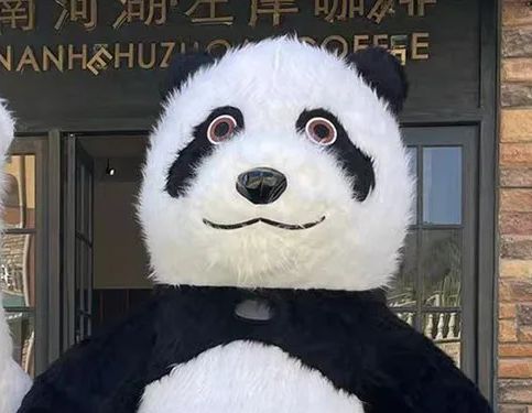 Câți bani face un român îmbrăcat în costum de urs în Italia: 