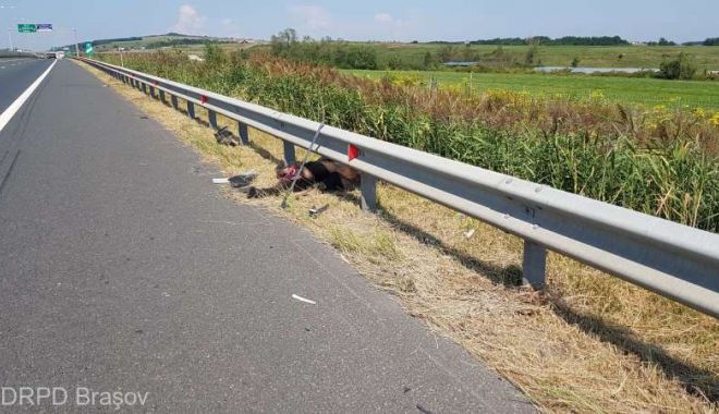 URS LOVIT MORTAL PE AUTOSTRADĂ - urs1-1534665368.jpg