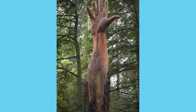 USR-PLUS Constanţa şi studenţii de la Facultatea de Arte dau o nouă viaţă arborilor uscaţi - usrcopaci2-1640800723.jpg