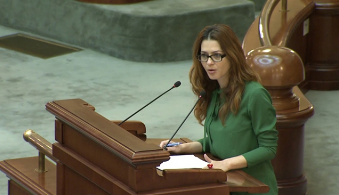 USR solicită Parlamentului reînființarea Comisiei comune pentru Codul Electoral - usrsolicitaflorinapresada-1507046057.jpg