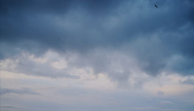 Vânt puternic, cu temperaturi ridicate, astăzi, la Constanţa - vant-1602524926.jpg