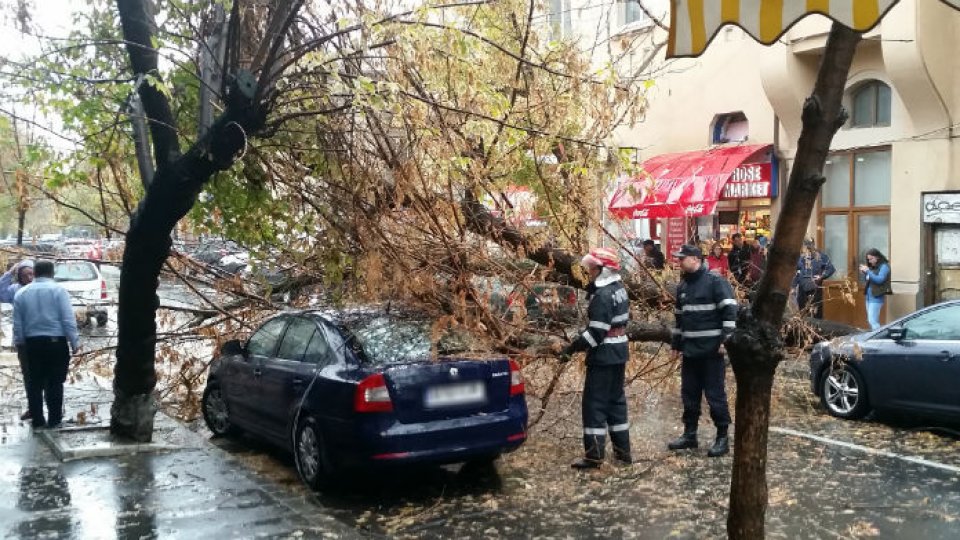 Codul portocaliu de vânt a făcut prăpăd în țară. La Marea Neagră - manevrele în porturi suspendate - vant-puternic-1712072639.jpg
