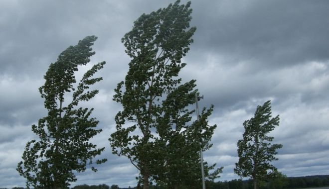 O nouă avertizare de la meteorologi! Rafale puternice de vânt, la Constanța - vantatentionaremeteo-1525689873.jpg