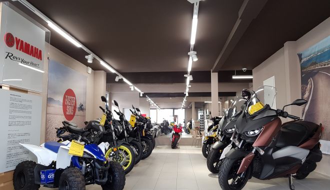 Vânzările auto-moto s-au accelerat - vanzarileautomot1706-1560768303.jpg