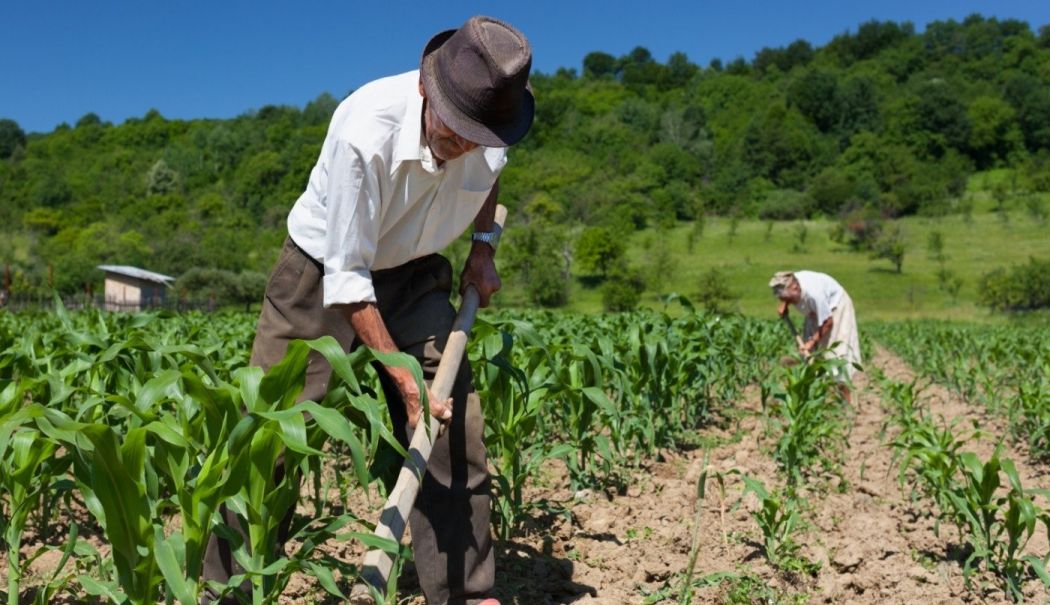 Proiect de modificare a legii pensiilor. S-ar repara o nedreptate socială - vechimeainagriculturadedinainted-1764847252.jpg