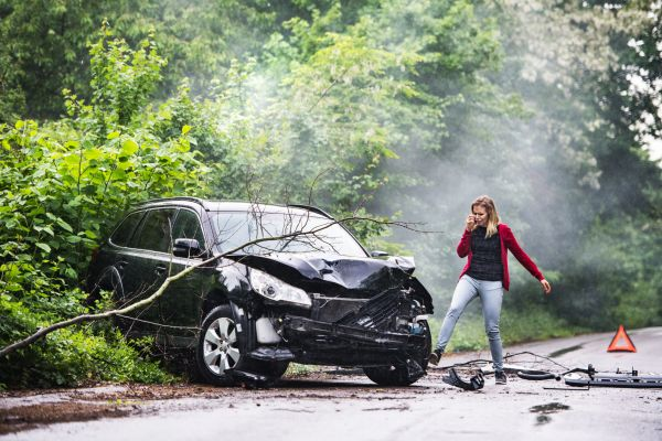 Vecine, am făcut accident! - vecine-am-facut-accident-1739556650.png